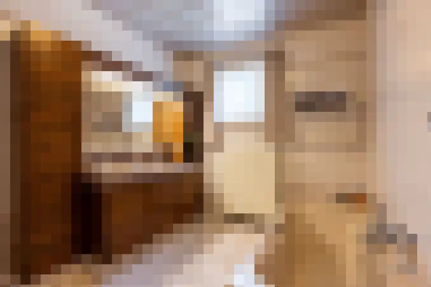Olmsebaan 204 Noardburgum thumbnail 9