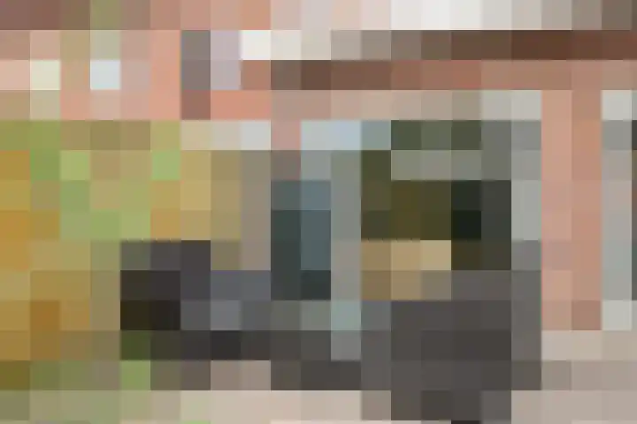 Olmstraat 122 Breda thumbnail 22