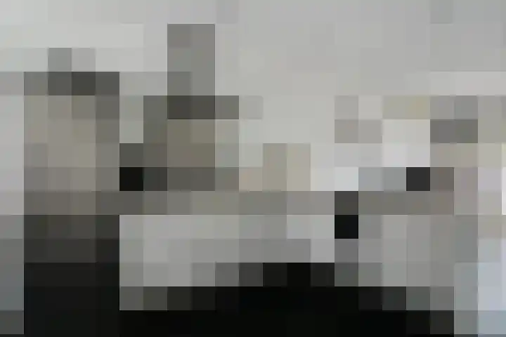 Olmstraat 122 Breda thumbnail 8