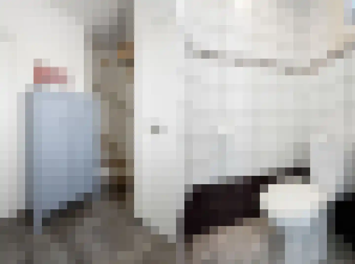 Olmstraat 15 Echt thumbnail 10