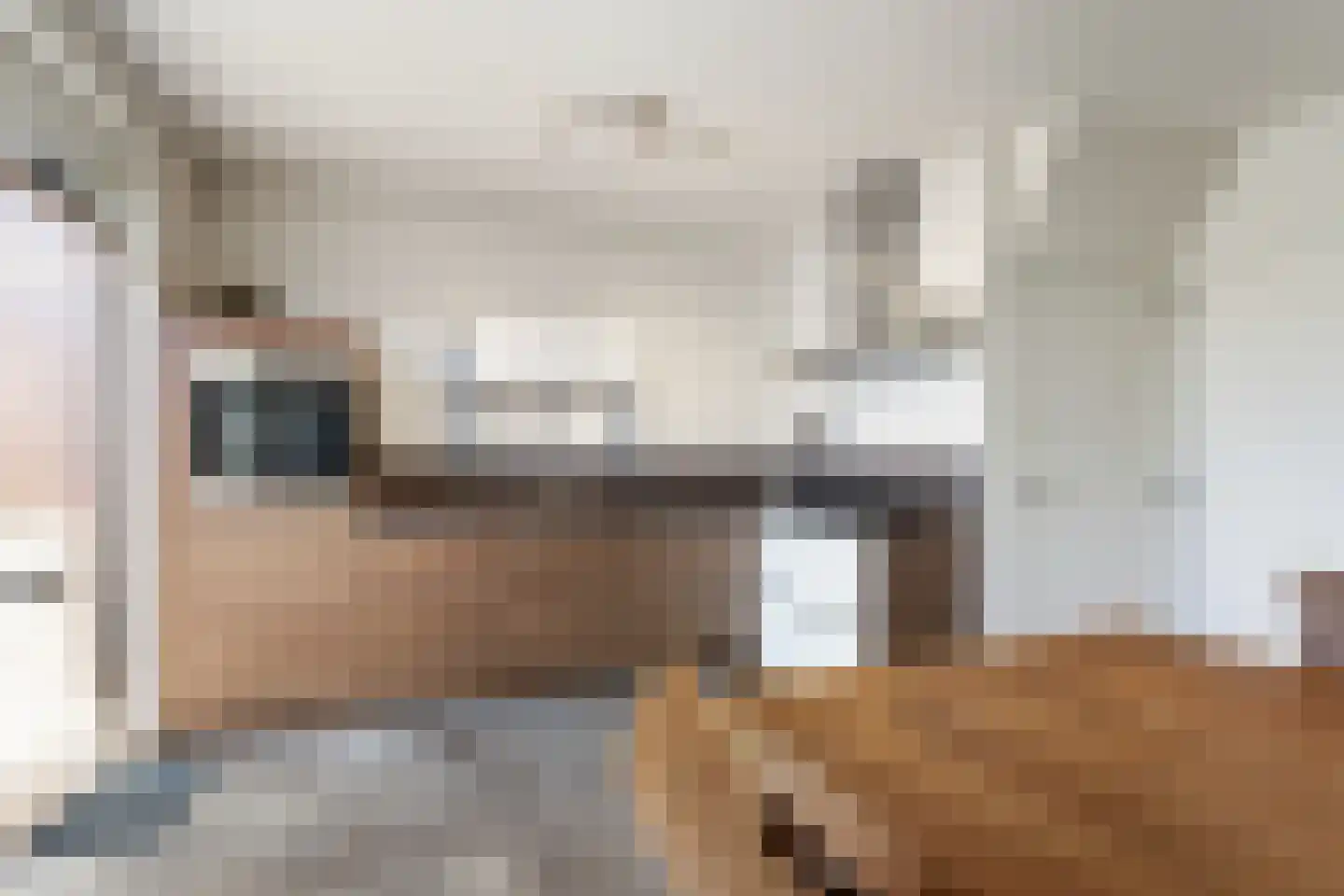 Olmstraat 15 Echt thumbnail 12
