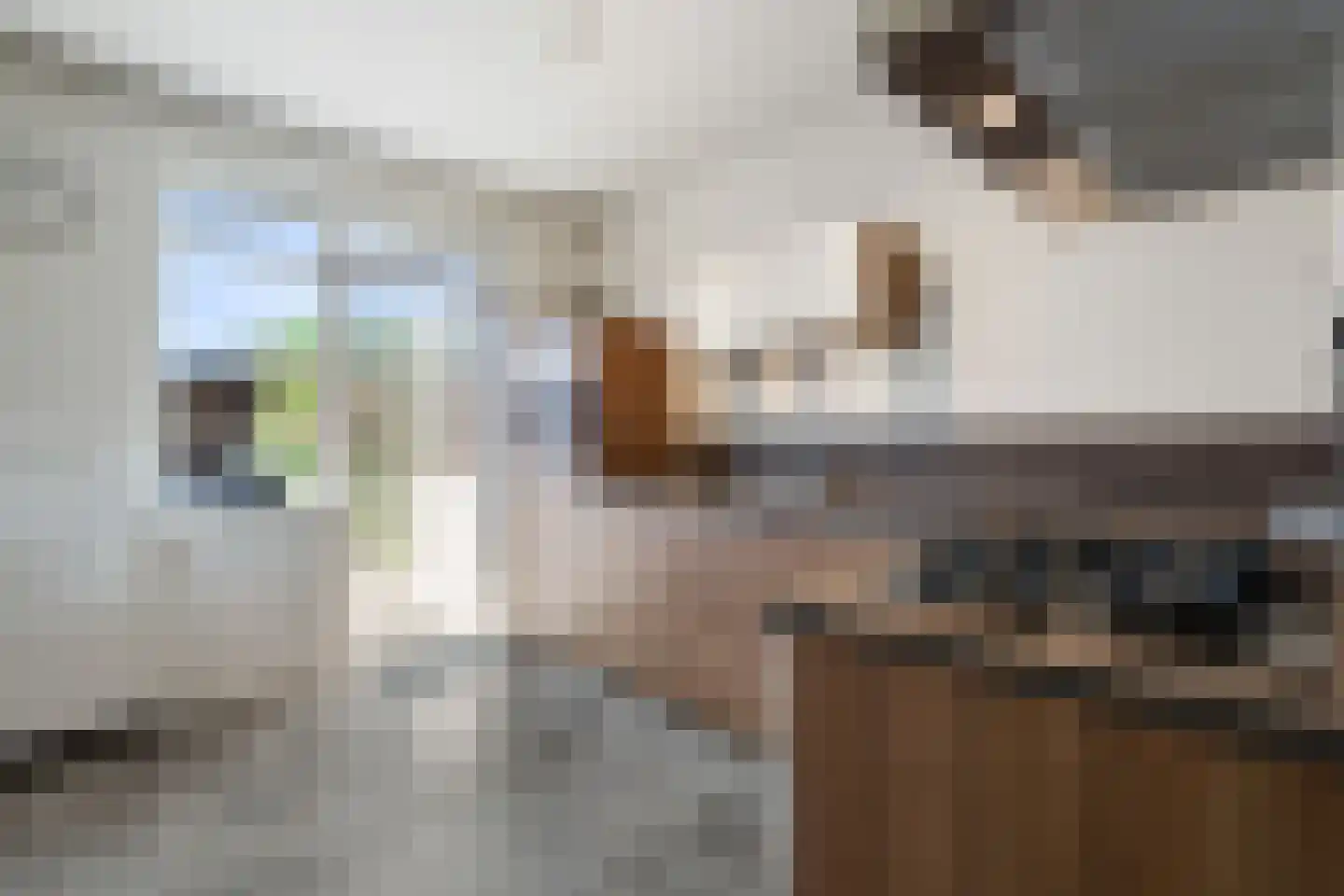 Olmstraat 15 Echt thumbnail 13