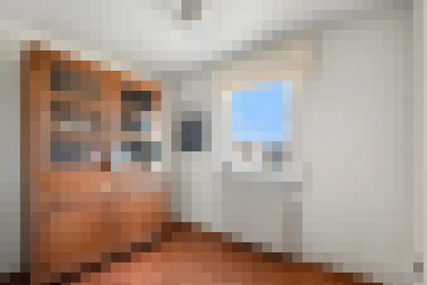 Olmstraat 15 Echt thumbnail 24