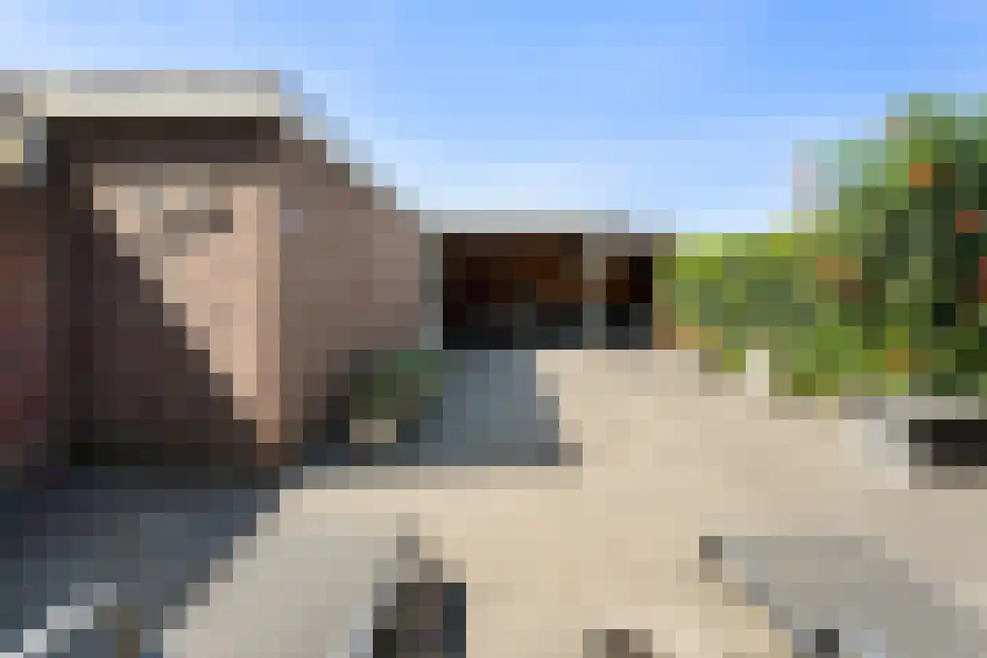 Olmstraat 15 Echt thumbnail 33