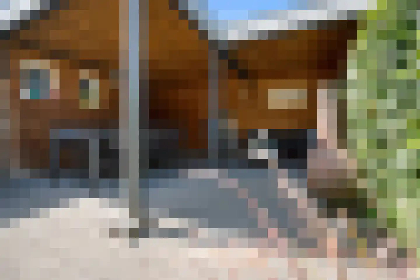 Olmstraat 15 Echt thumbnail 36