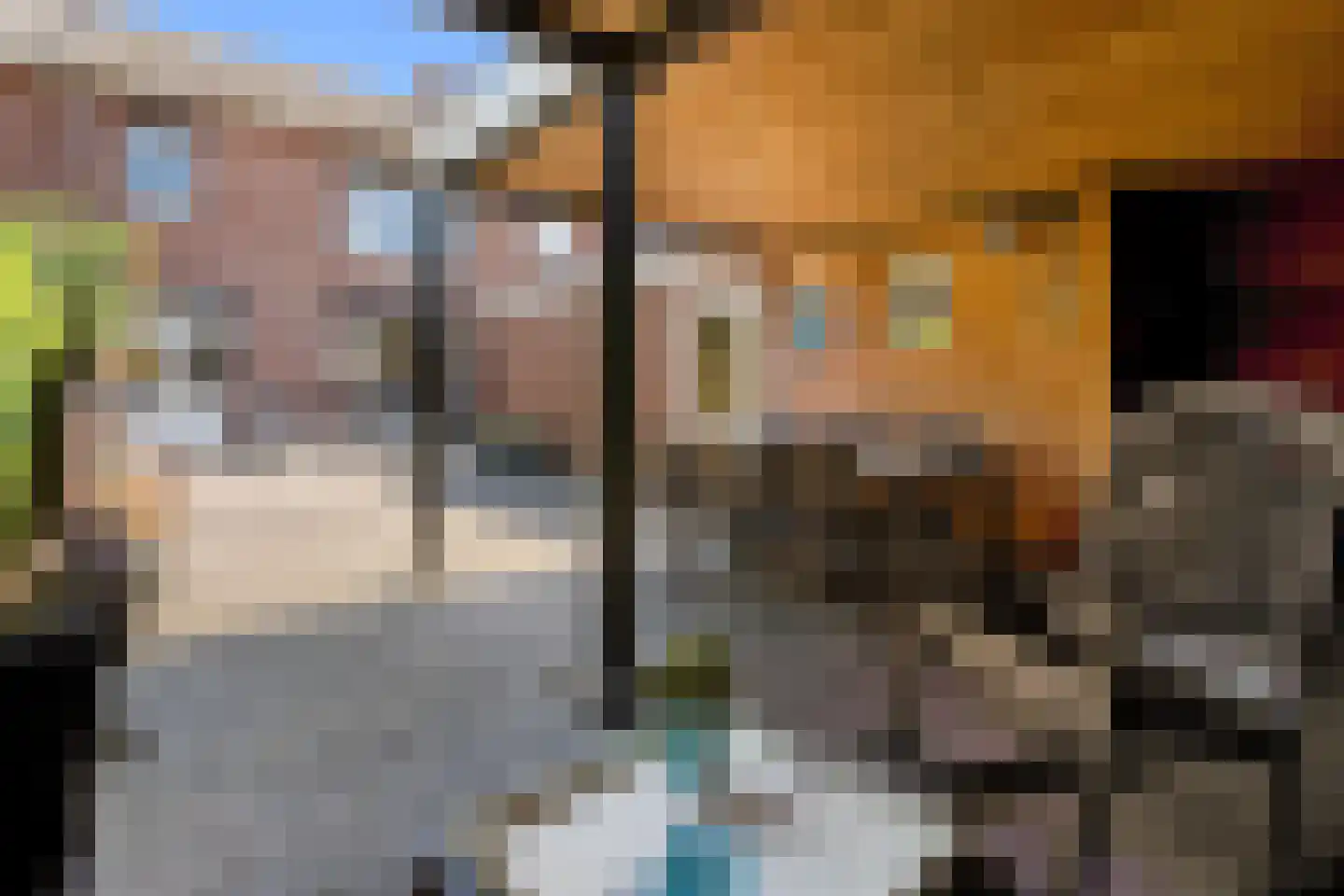 Olmstraat 15 Echt thumbnail 38