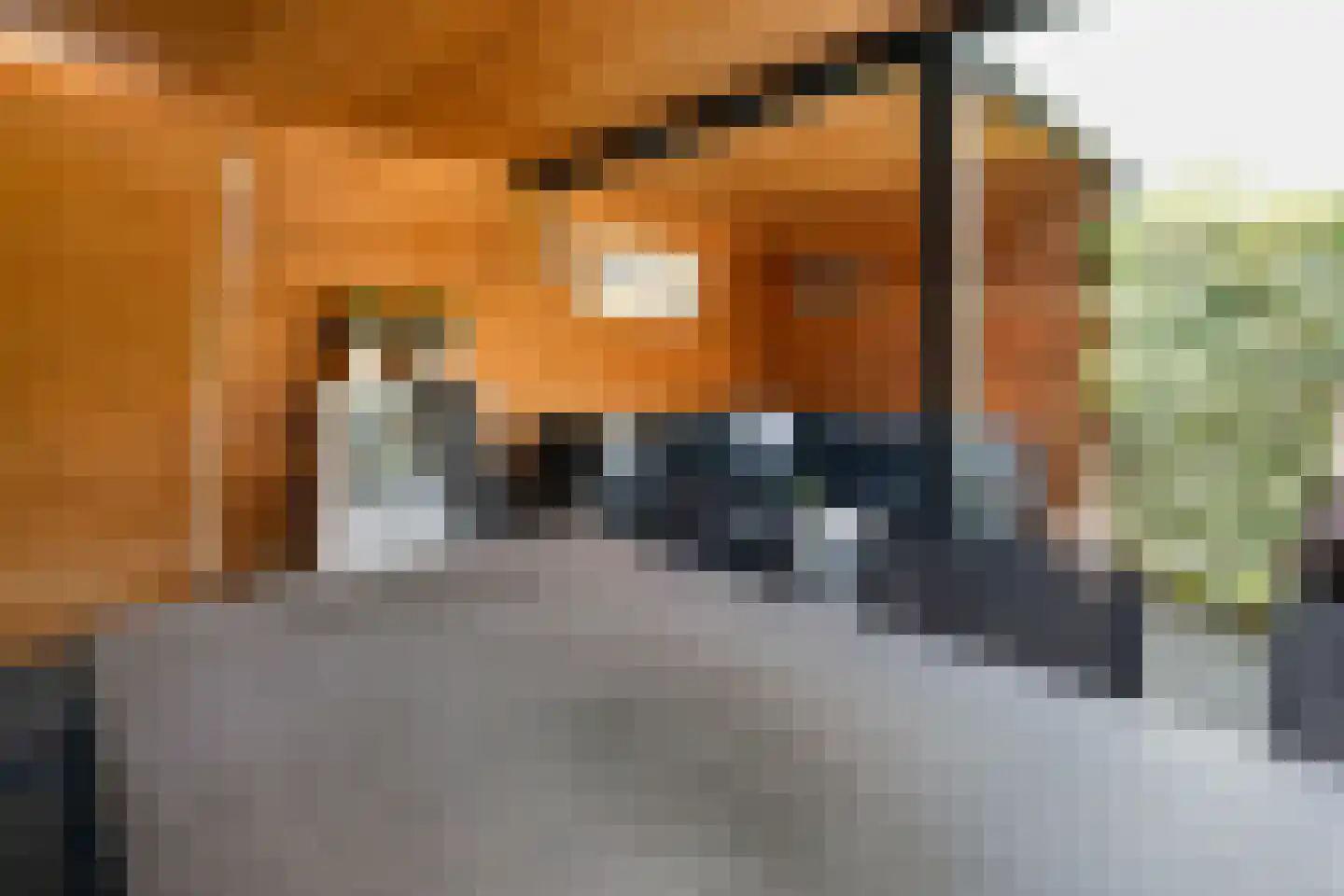 Olmstraat 15 Echt thumbnail 40