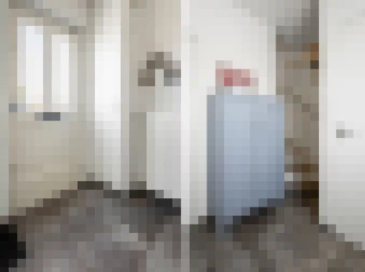 Olmstraat 15 Echt thumbnail 8