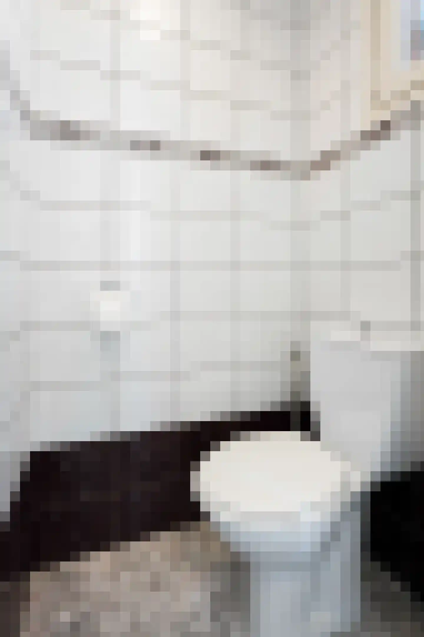Olmstraat 15 Echt thumbnail 9