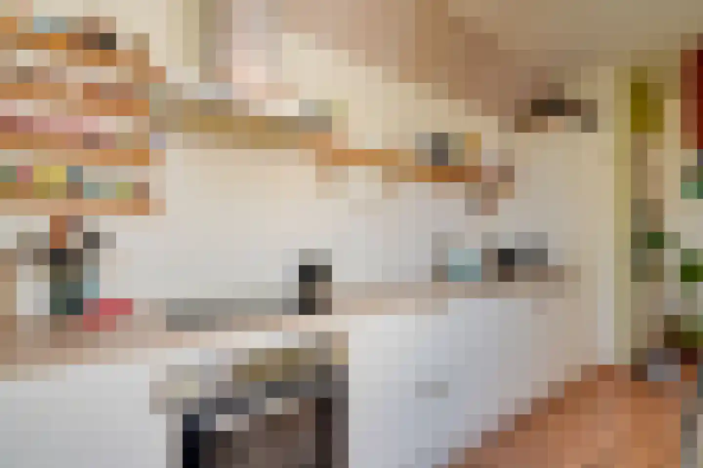 Olmstraat 15 Utrecht thumbnail 12