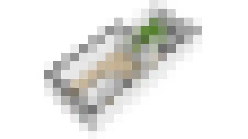 Olmstraat 15 Utrecht thumbnail 31