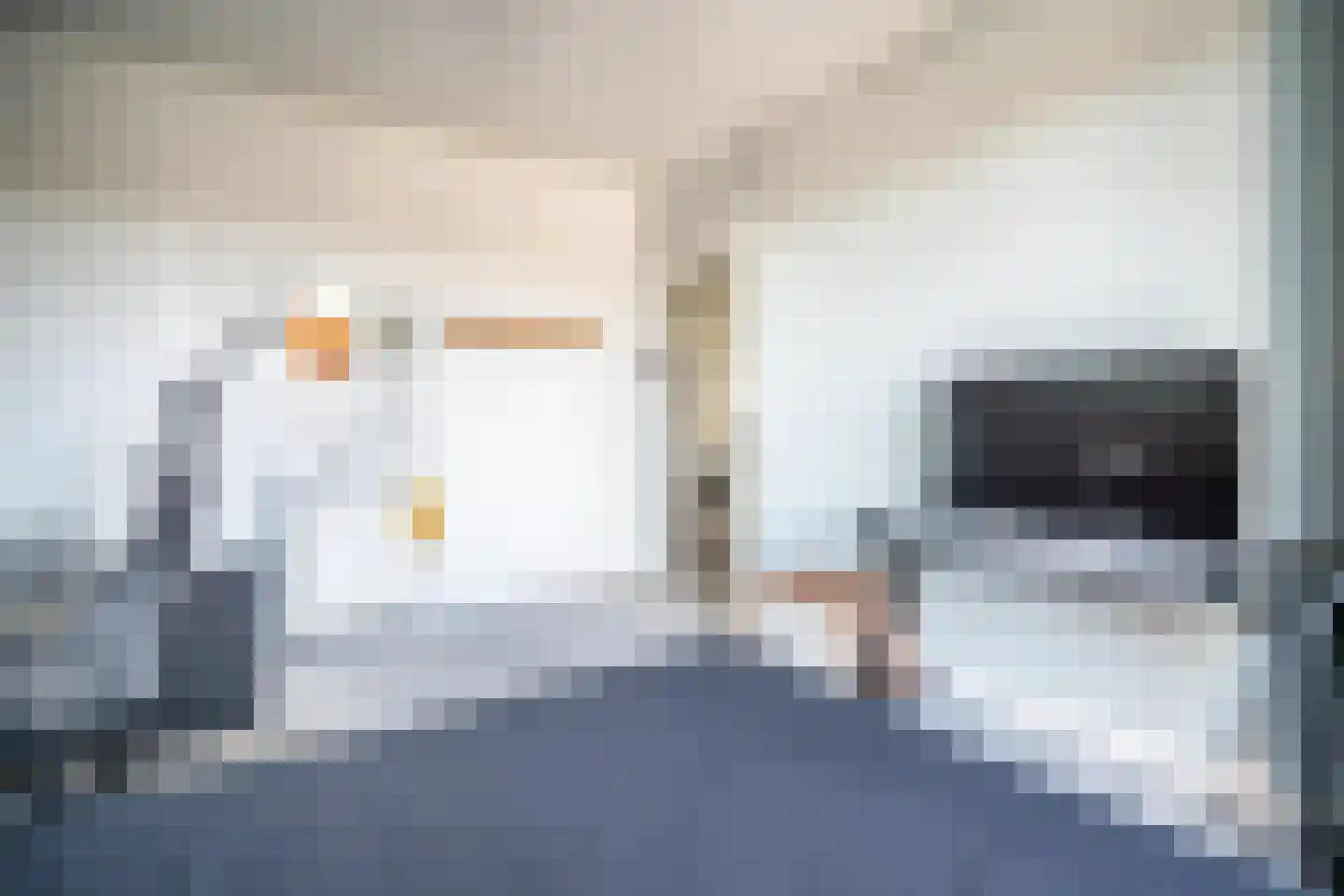 Olmstraat 2 a Rijswijk thumbnail 35