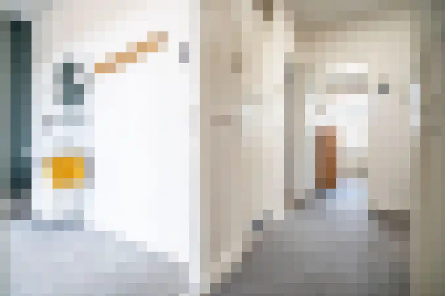 Olmstraat 2 a Rijswijk thumbnail 40