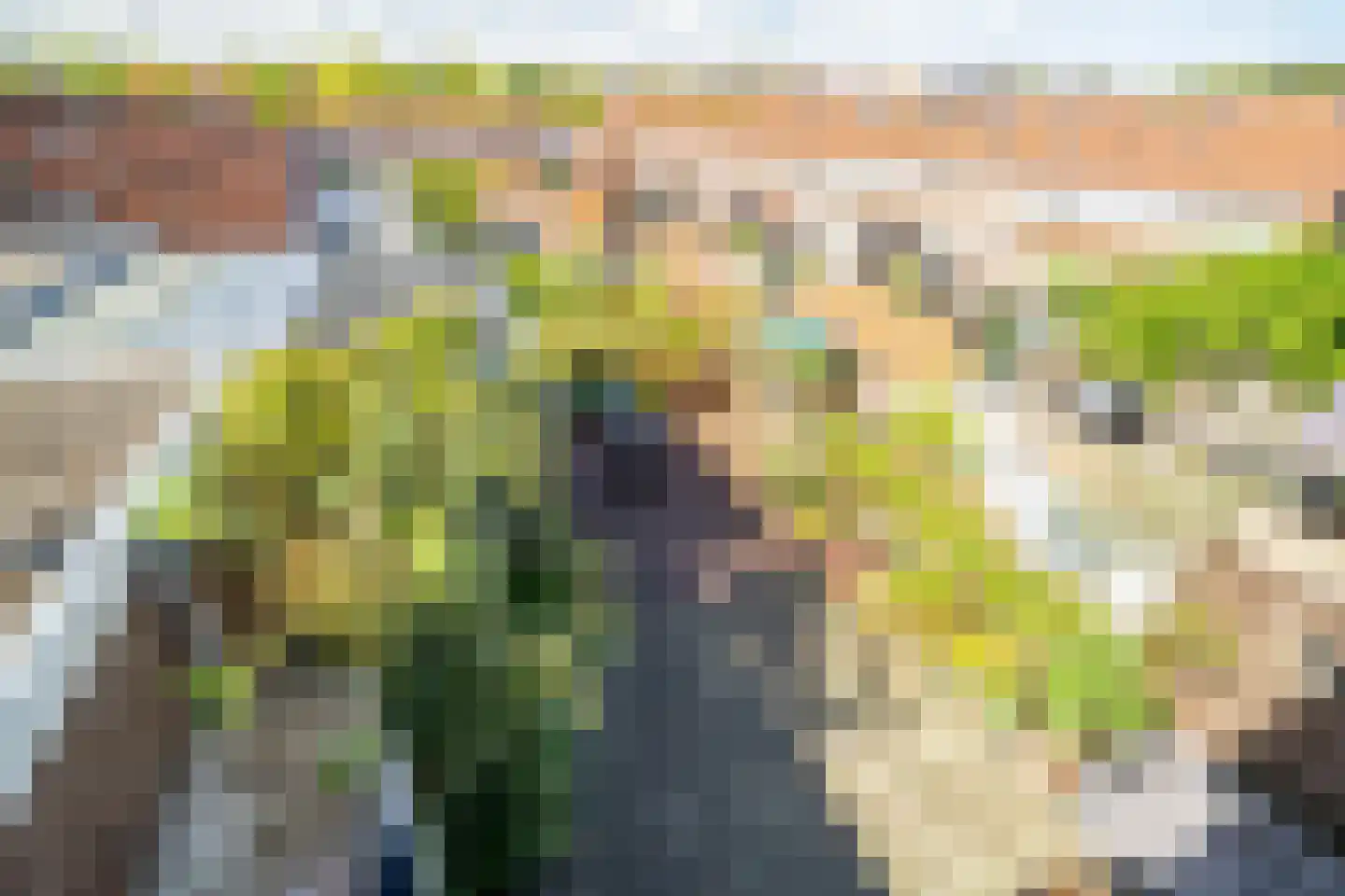 Olmstraat 2 a Rijswijk thumbnail 43