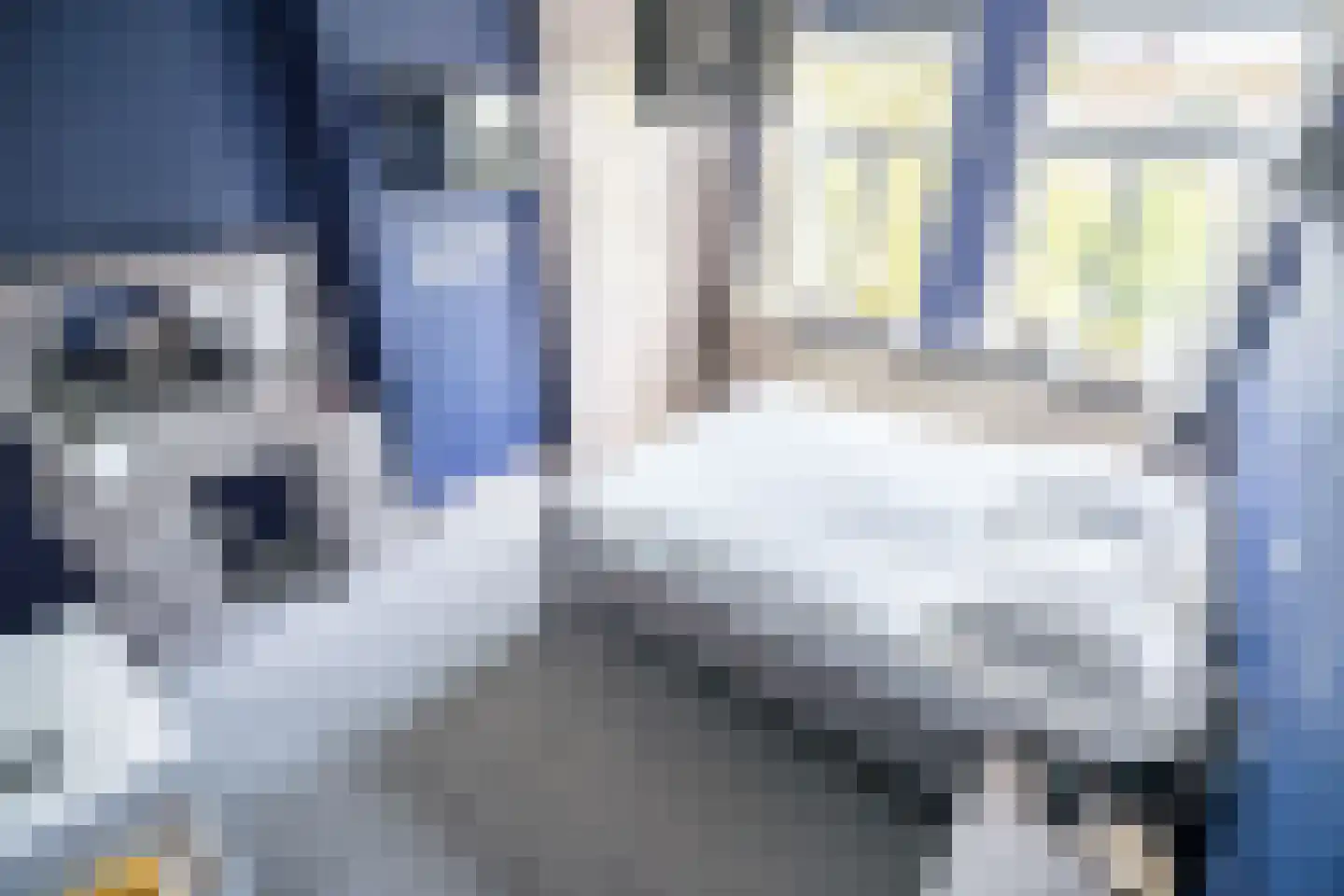 Olmstraat 2 a Rijswijk thumbnail 50