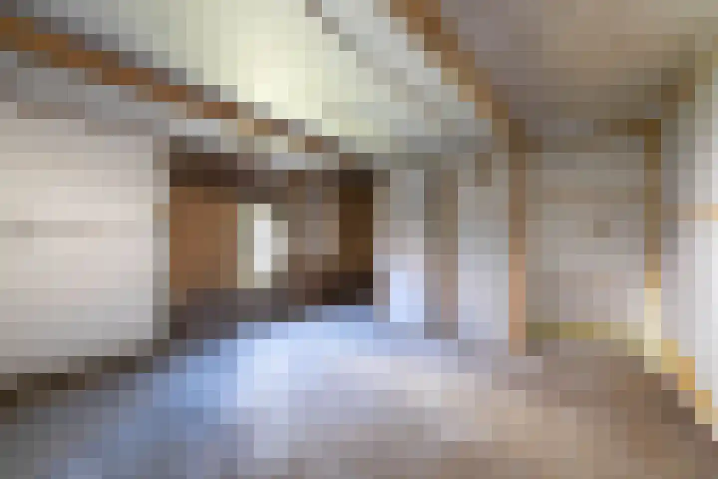 Olmstraat 26 Almelo thumbnail 25