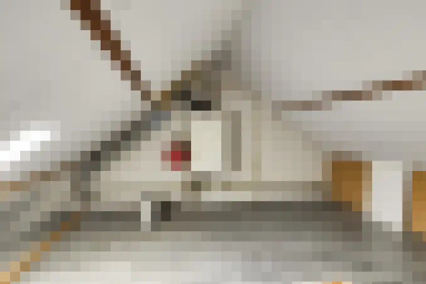 Olmstraat 27 Breda thumbnail 31