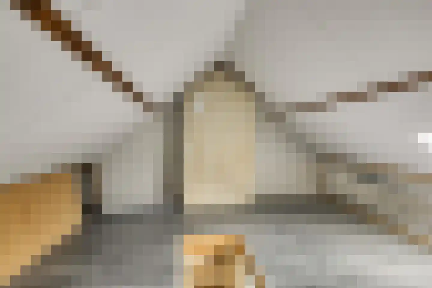 Olmstraat 27 Breda thumbnail 32