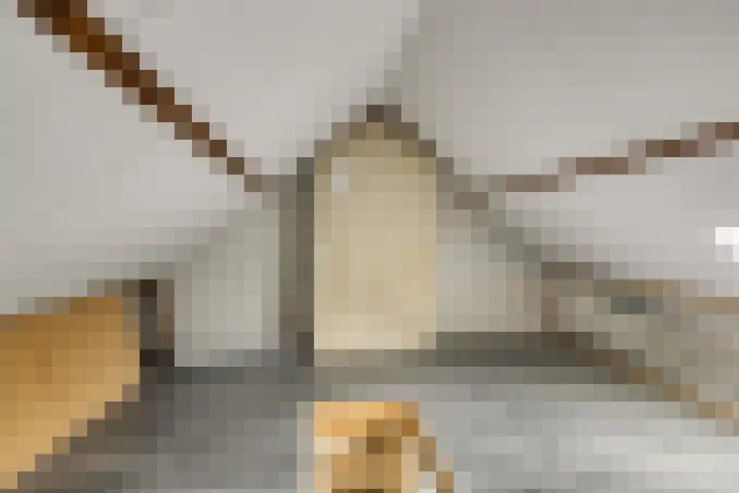 Olmstraat 27 Breda thumbnail 32