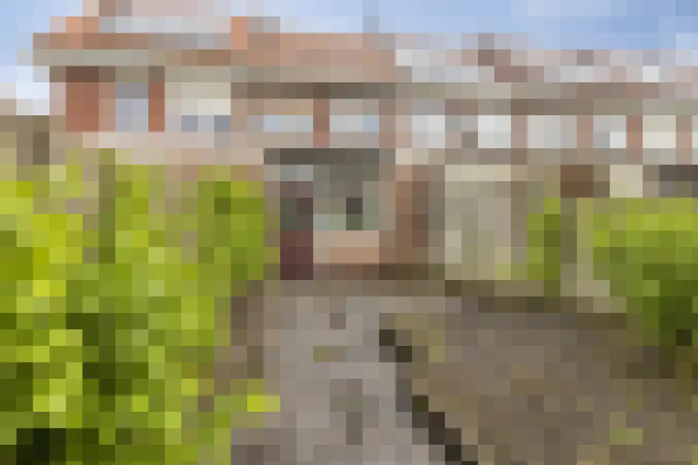 Olmstraat 27 Breda thumbnail 35