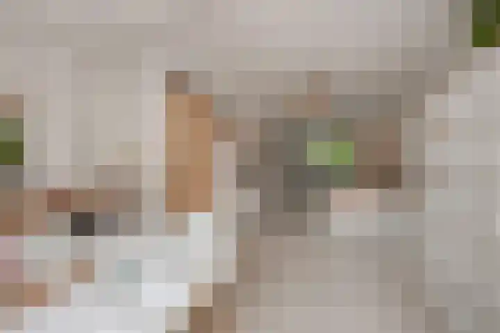 Olmstraat 3 Rijswijk thumbnail 15