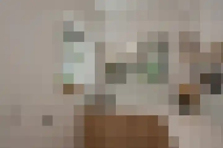 Olmstraat 3 Rijswijk thumbnail 18