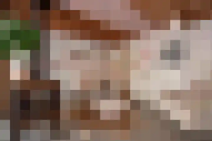 Olmstraat 3 Rijswijk thumbnail 23