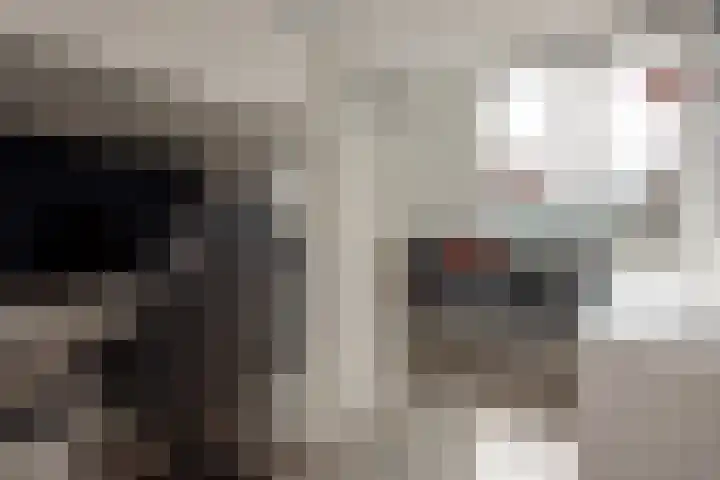 Olmstraat 3 Rijswijk thumbnail 31