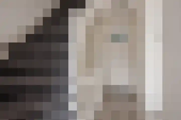 Olmstraat 3 Rijswijk thumbnail 32