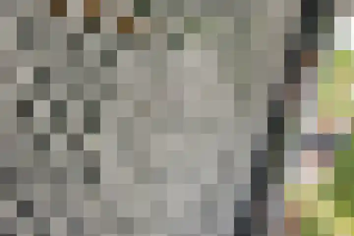 Olmstraat 3 Rijswijk thumbnail 37