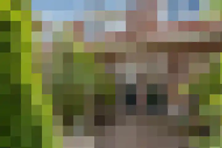Olmstraat 3 Rijswijk thumbnail 4