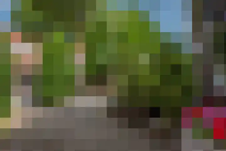 Olmstraat 3 Rijswijk thumbnail 6
