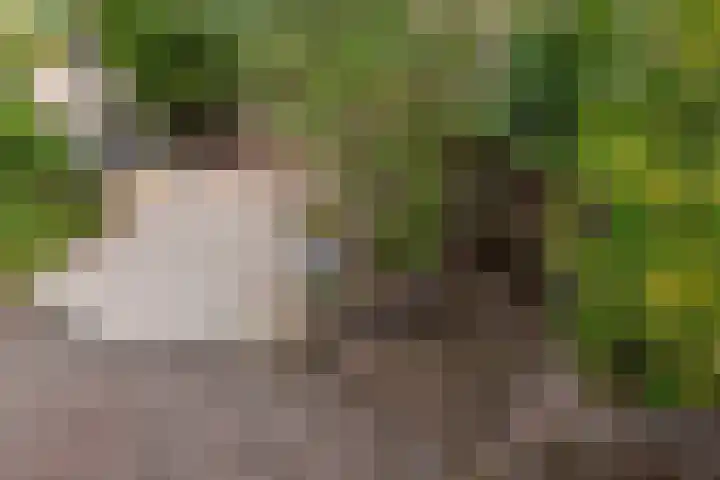 Olmstraat 3 Rijswijk thumbnail 7