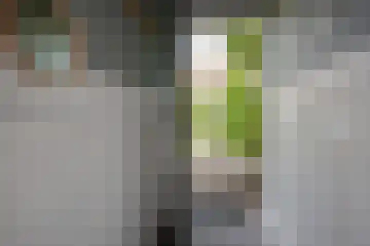 Olmstraat 3 Rijswijk thumbnail 8