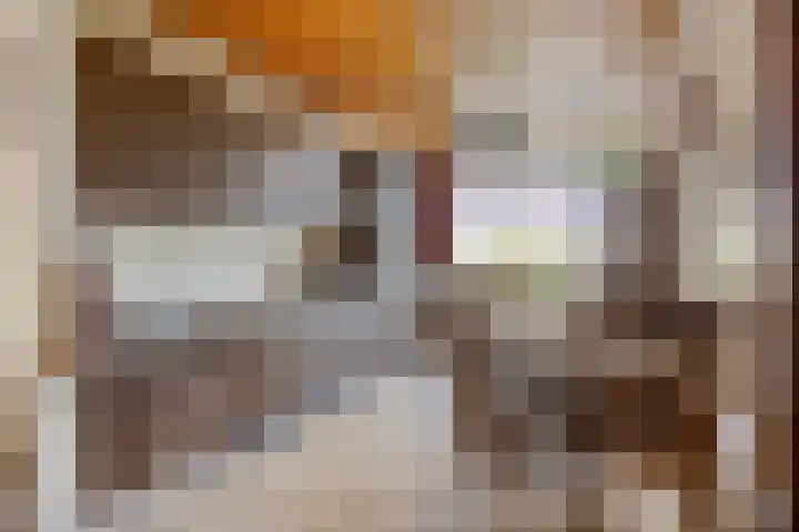 Olmstraat 30 Almelo thumbnail 11