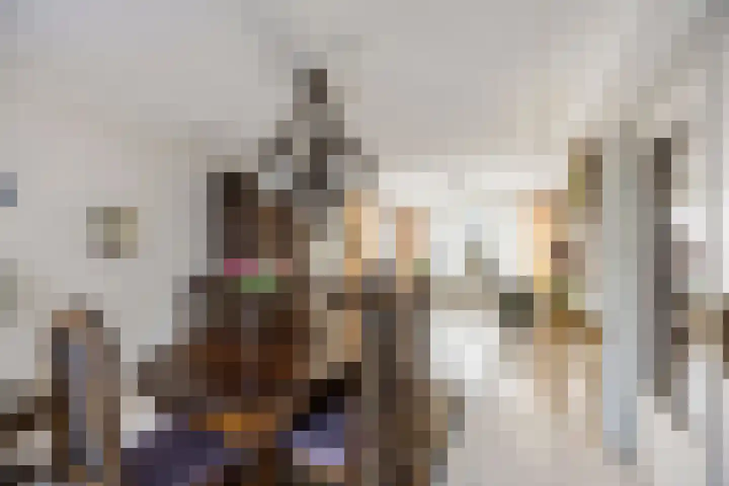 Olmstraat 4 Echt thumbnail 14