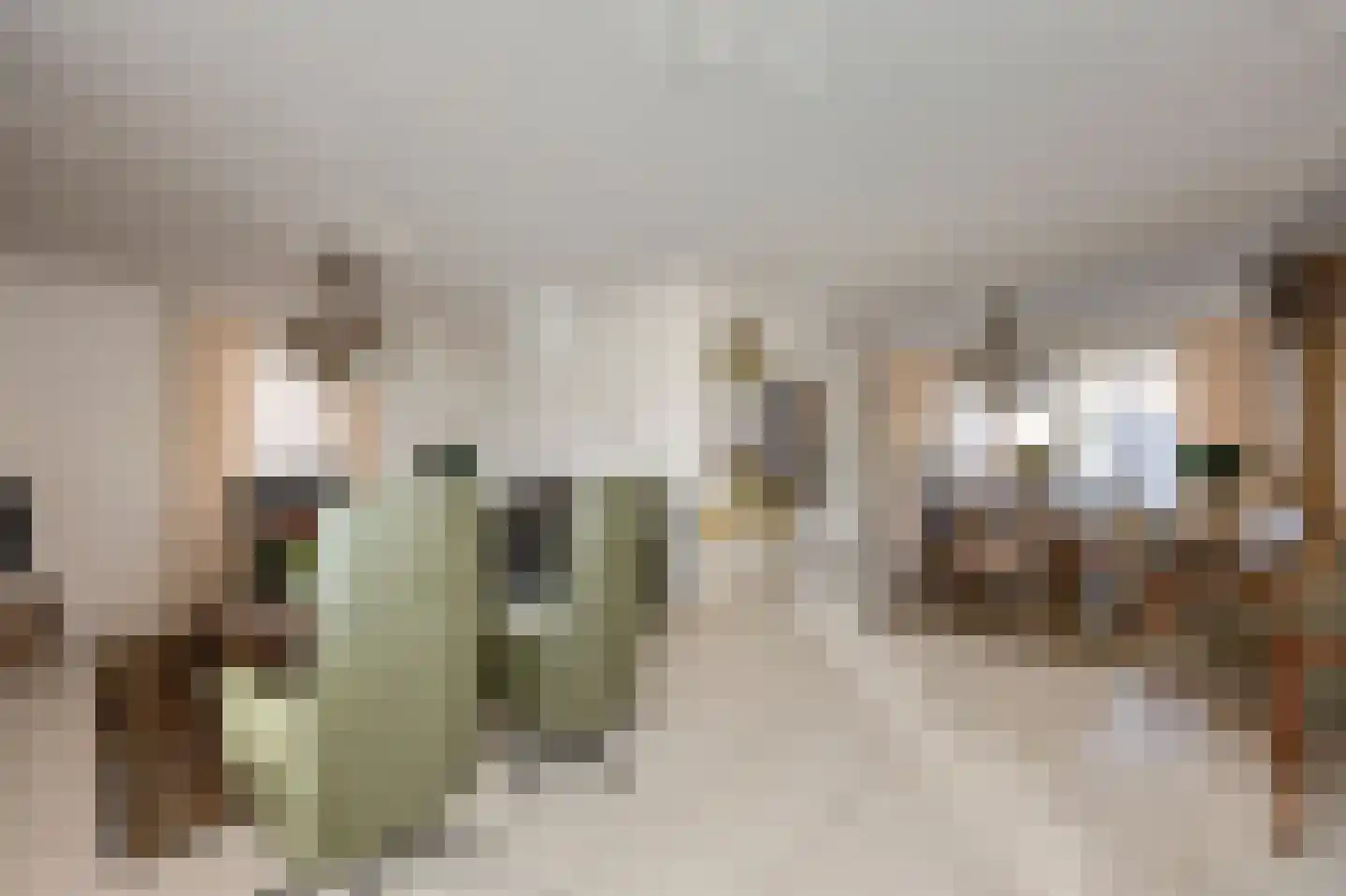 Olmstraat 4 Echt thumbnail 16