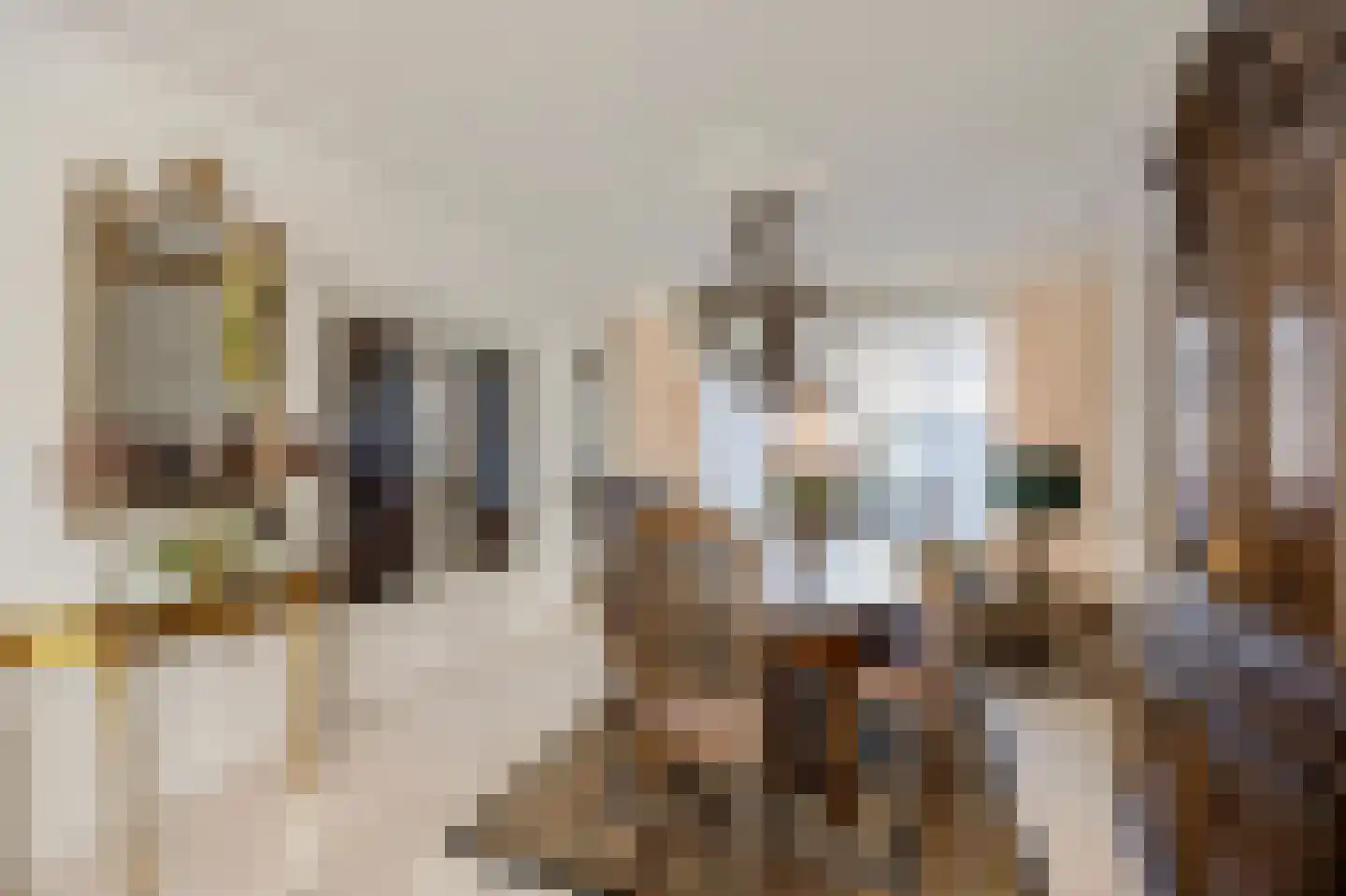 Olmstraat 4 Echt thumbnail 17