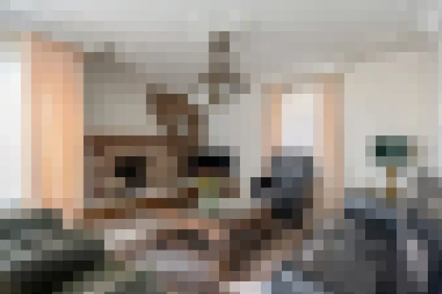 Olmstraat 4 Echt thumbnail 18