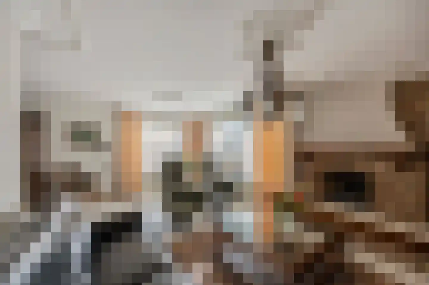 Olmstraat 4 Echt thumbnail 21