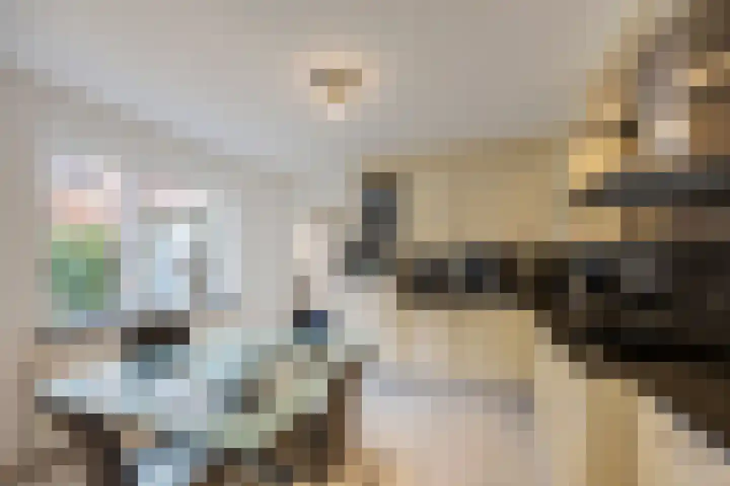 Olmstraat 4 Echt thumbnail 23