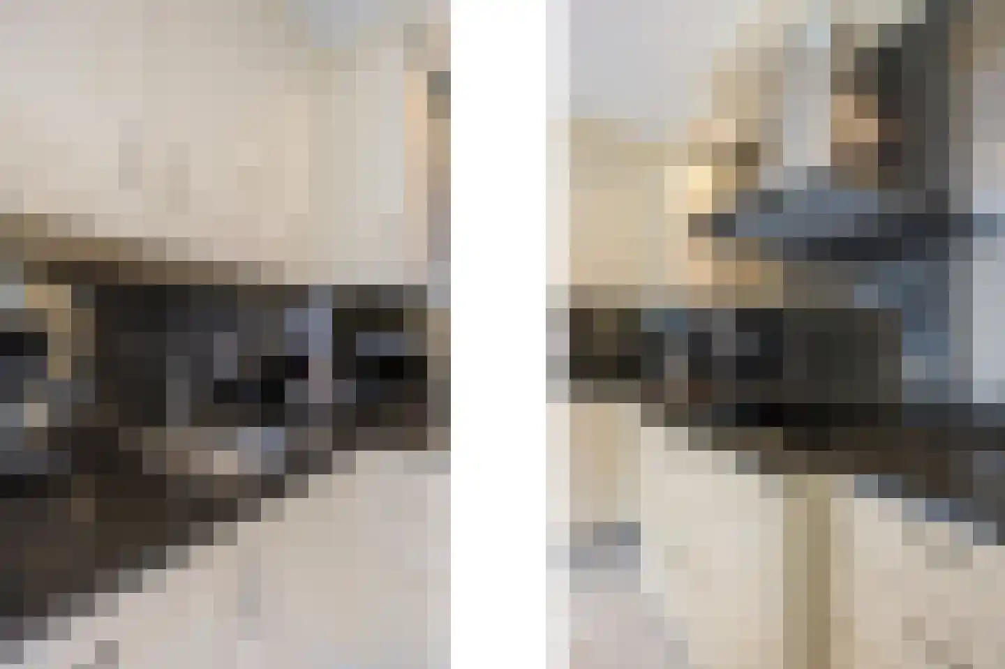 Olmstraat 4 Echt thumbnail 24