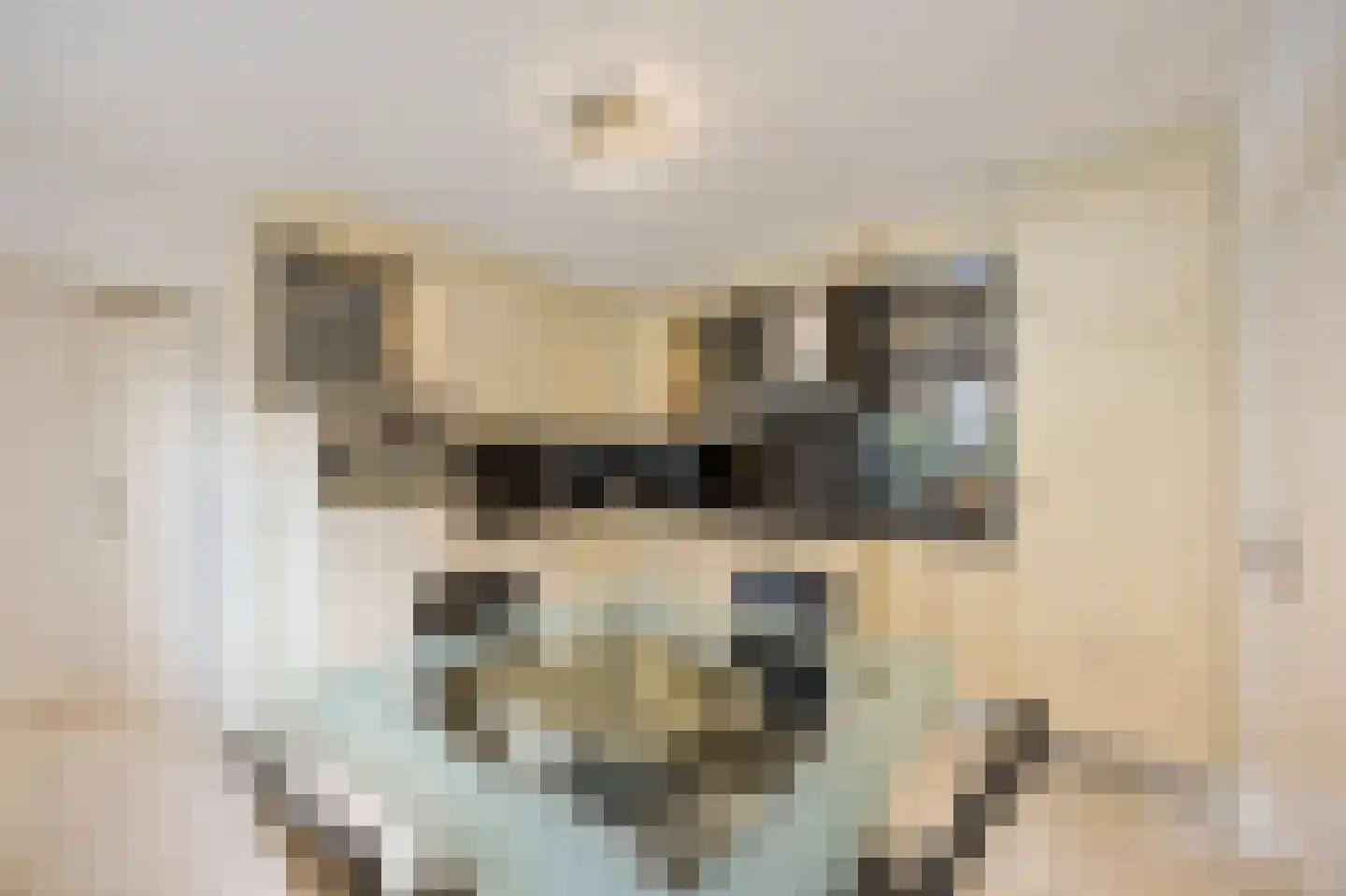 Olmstraat 4 Echt thumbnail 25