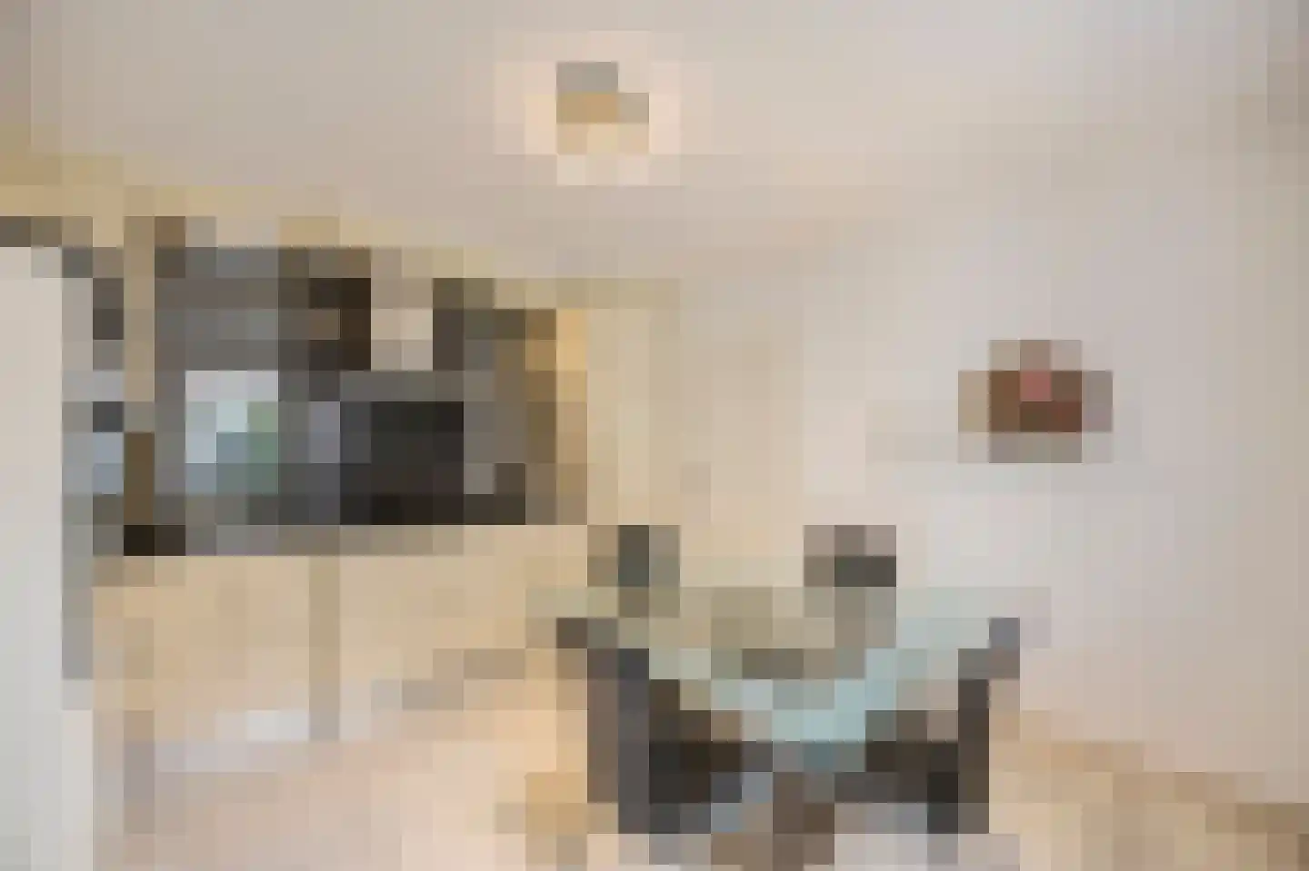 Olmstraat 4 Echt thumbnail 27