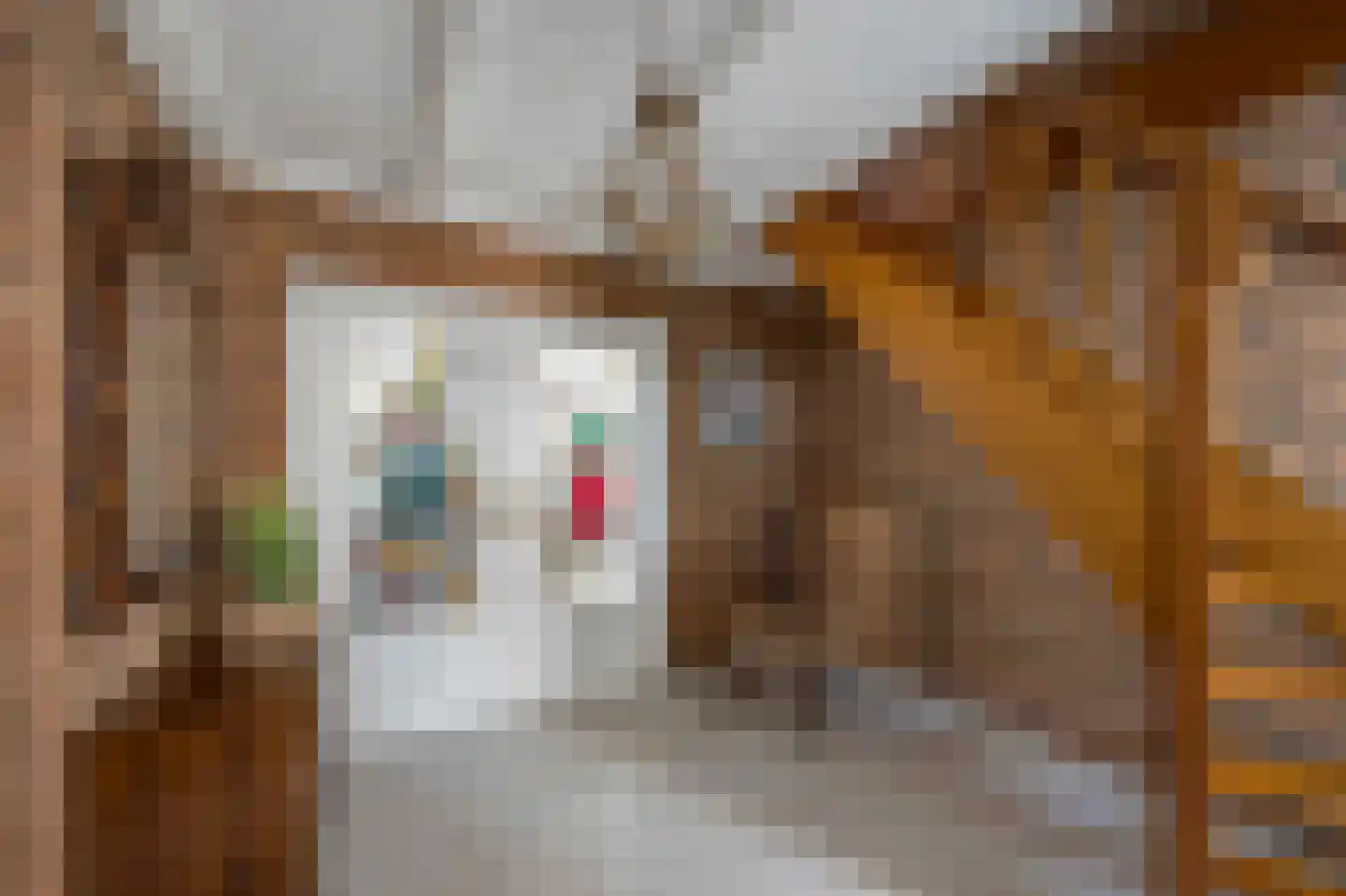 Olmstraat 4 Echt thumbnail 29