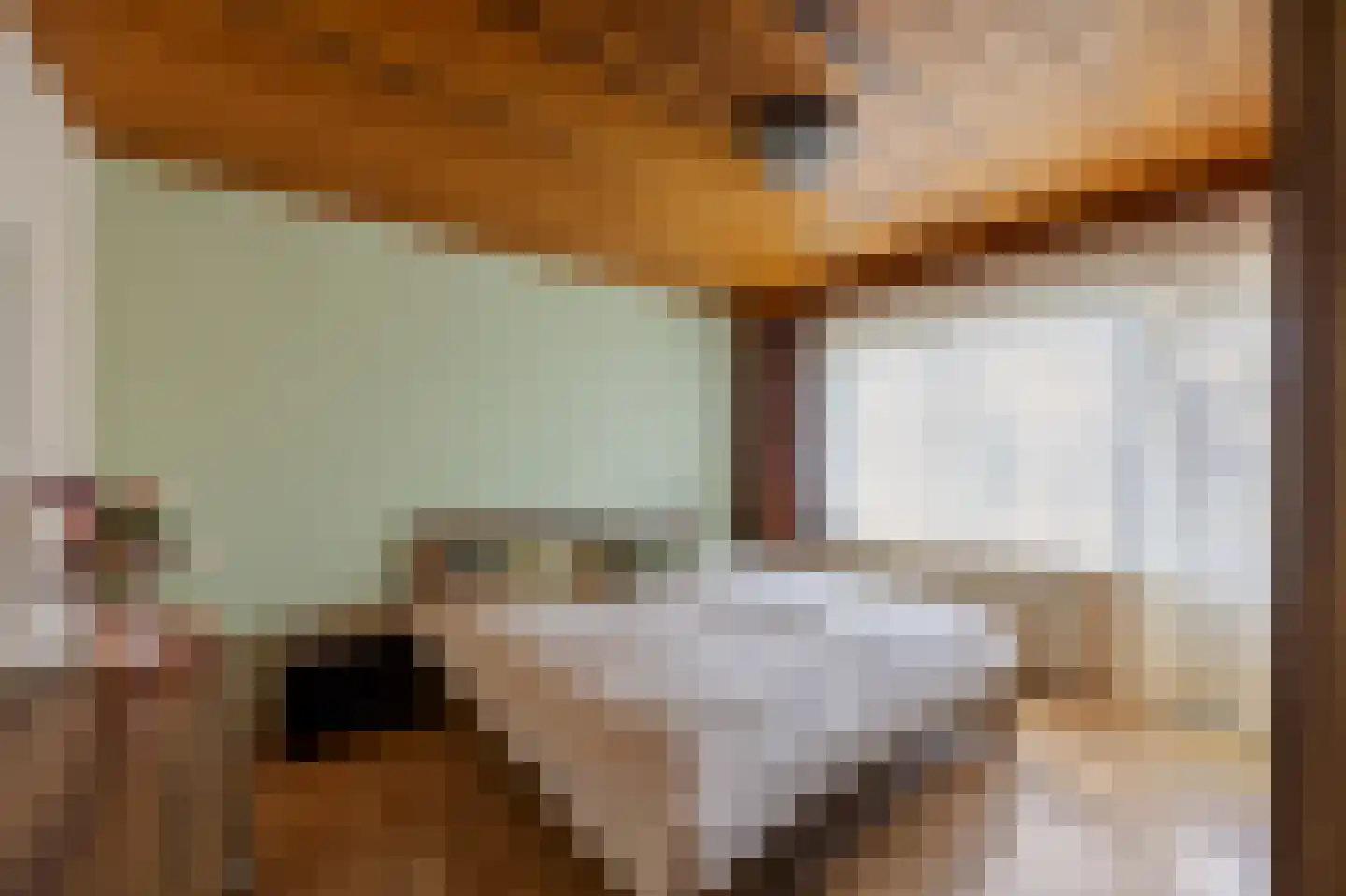 Olmstraat 4 Echt thumbnail 30