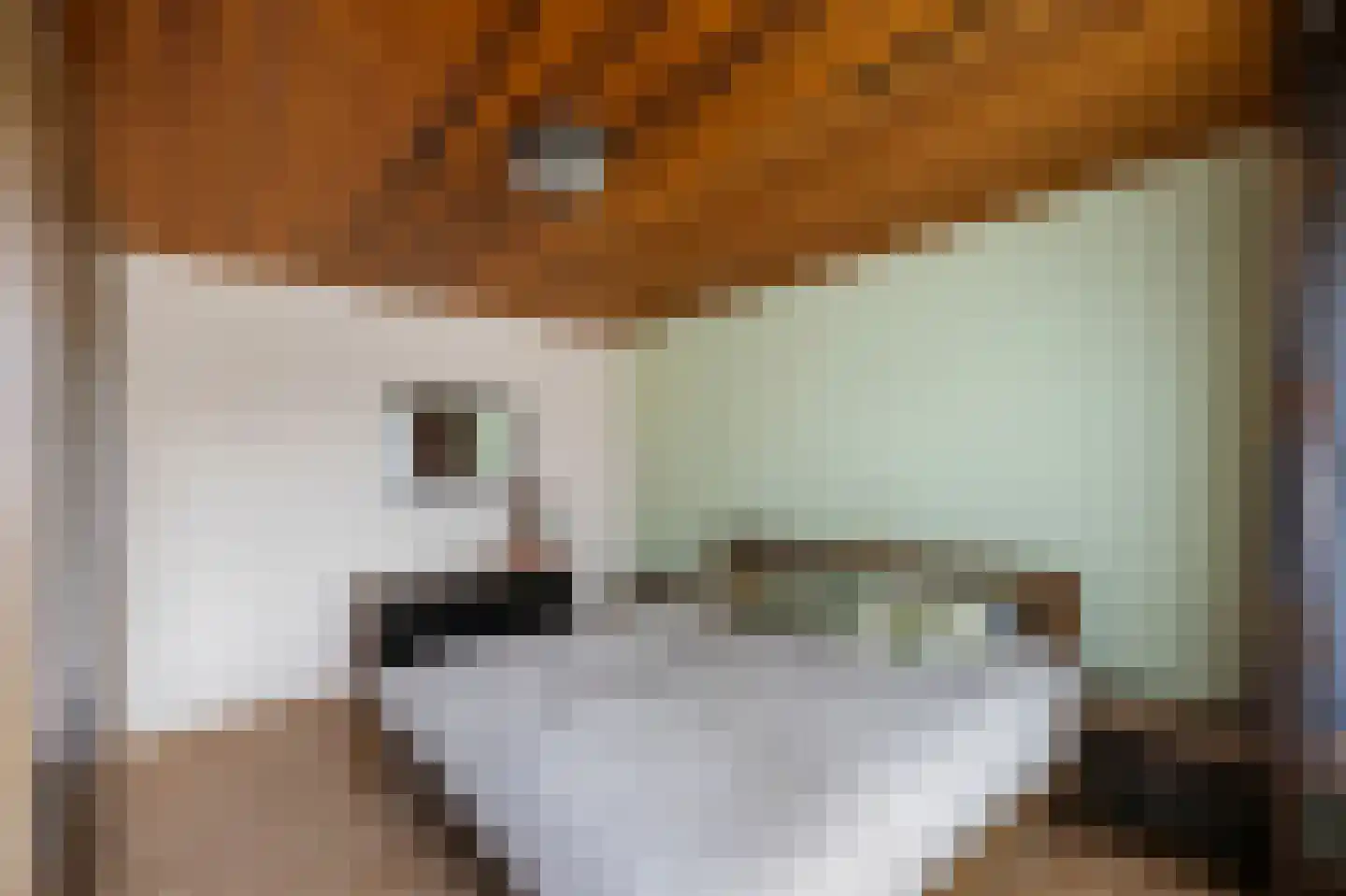 Olmstraat 4 Echt thumbnail 32