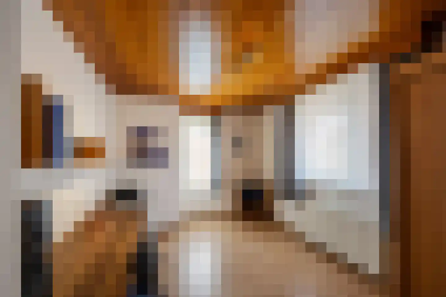 Olmstraat 4 Echt thumbnail 36