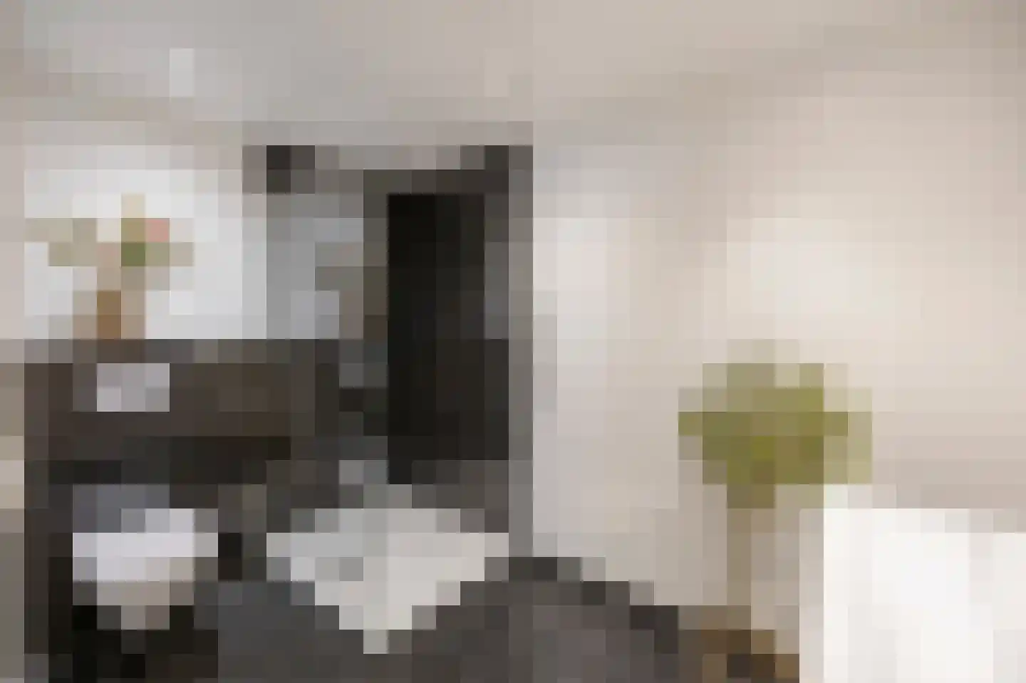 Olmstraat 4 Echt thumbnail 38
