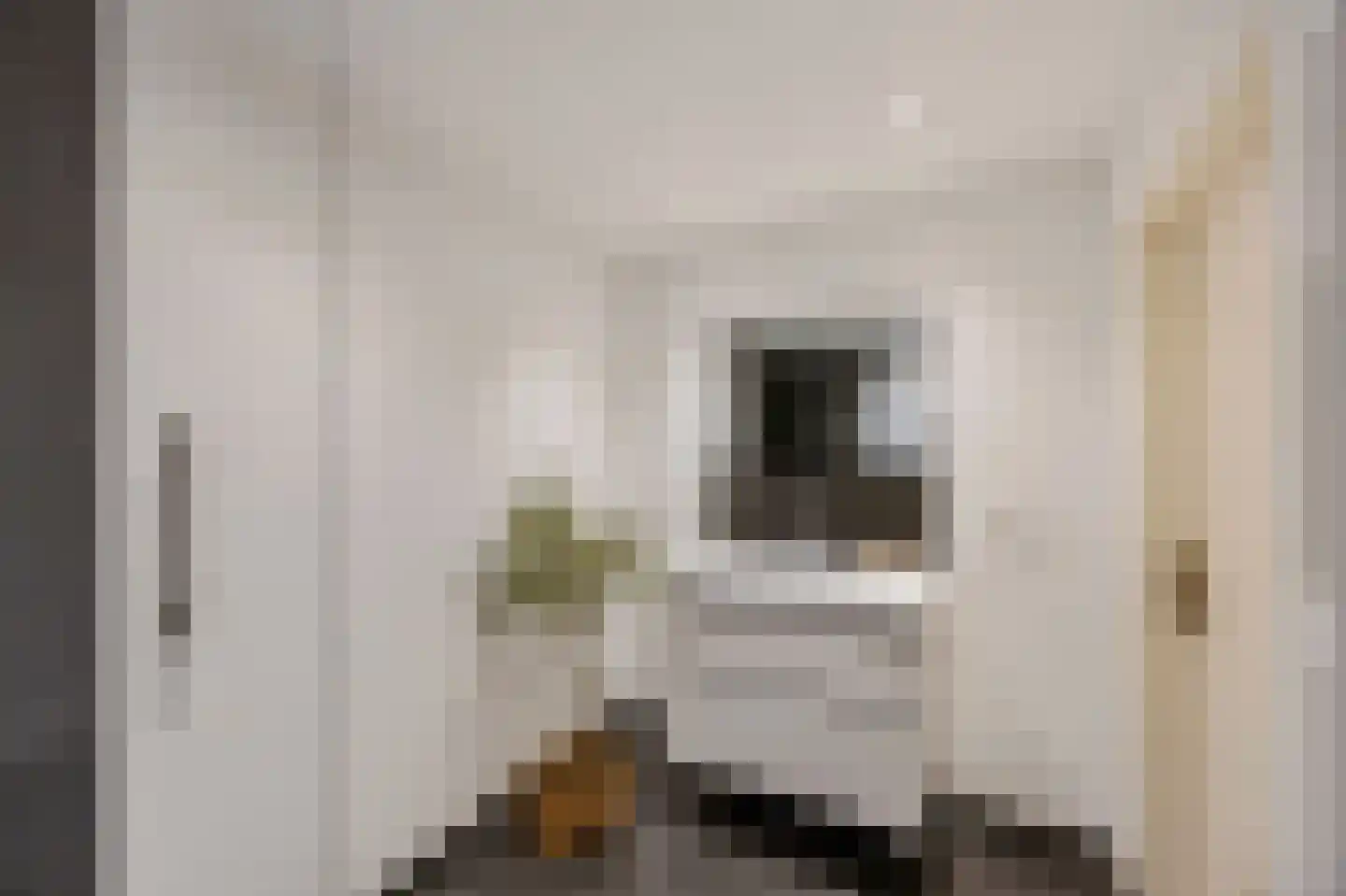 Olmstraat 4 Echt thumbnail 40